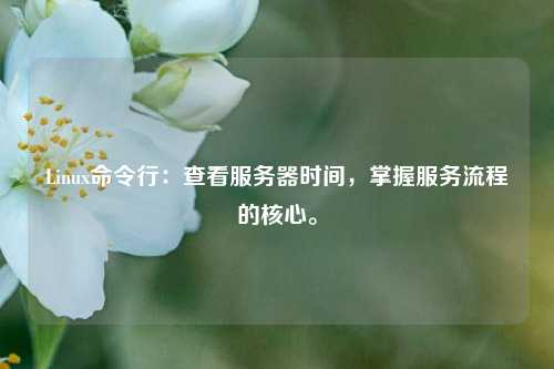 Linux命令行：查看服務(wù)器時間，掌握服務(wù)流程的核心。